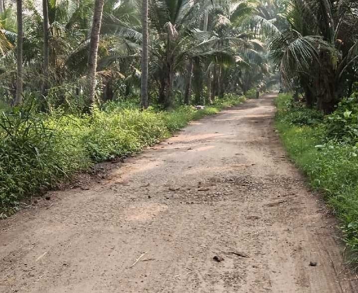 అధ్వానంగా చినమల్లం- మాధనవారిపాలెం రోడ్డు - Udayam