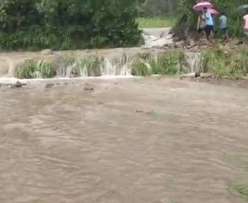 మొగదారలో నీట మునిగిన వరి పంట - Udayam