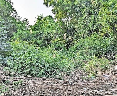 రూ.3 కోట్ల ఆలయ భూమిపై కబ్జా కన్ను - Udayam