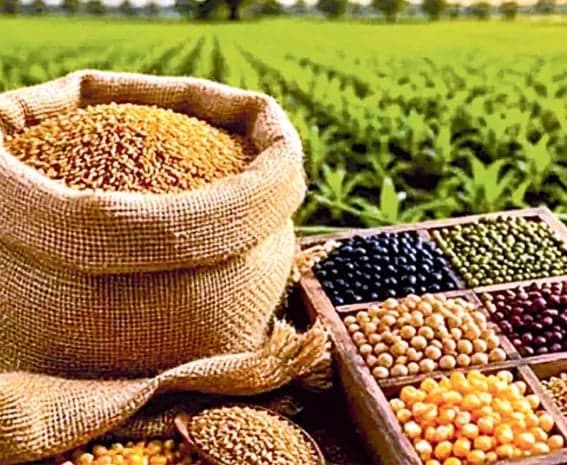 విత్తన వాణిజ్యంలో భారత్ లక్ష్యం 10% - Udayam