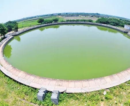 ఎల్నినోలో ఒయాసిస్ కోనేరు - Udayam