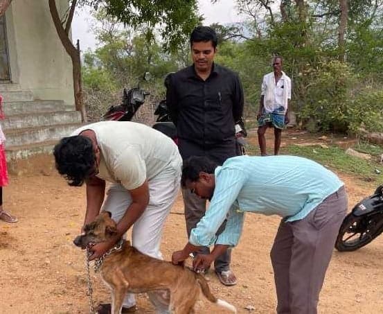 కుక్కలకు రేబిస్ టీకాలు వేయించాలి - Udayam