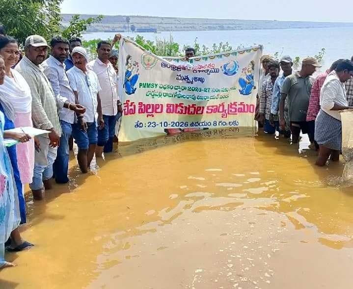 బొడ్డేపల్లి జలాశయంలో 12 లక్షల చేప పిల్లలు విడుదల - Udayam