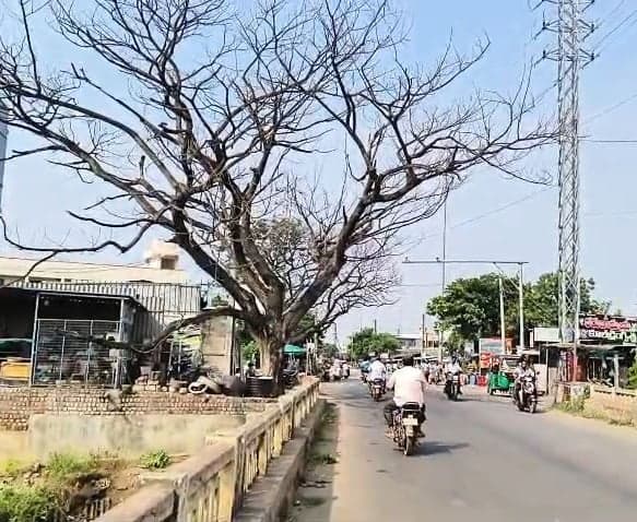 మైలవరంలో ఎండిన చెట్టుతో ప్రమాదం - Udayam