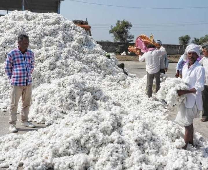 పత్తి కొనుగోళ్లలో అక్రమాలపై చర్యలు: కార్యదర్శి - Udayam