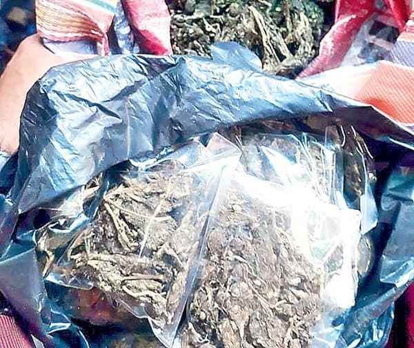కామారెడ్డి కేంద్రంగా గంజాయి రవాణా