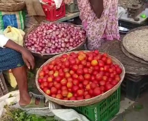 నర్సీపట్నంలో పెరిగిన కాయగూరల ధరలు - Udayam