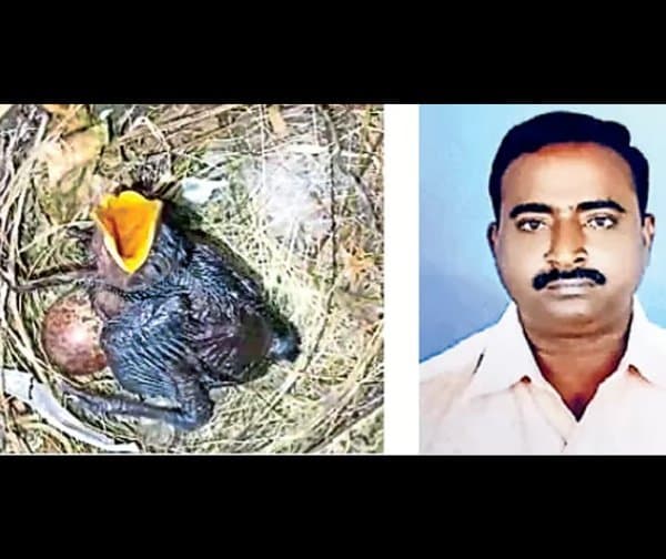 పిచ్చుక కోసం మోపెడ్ త్యాగం - Udayam Digital