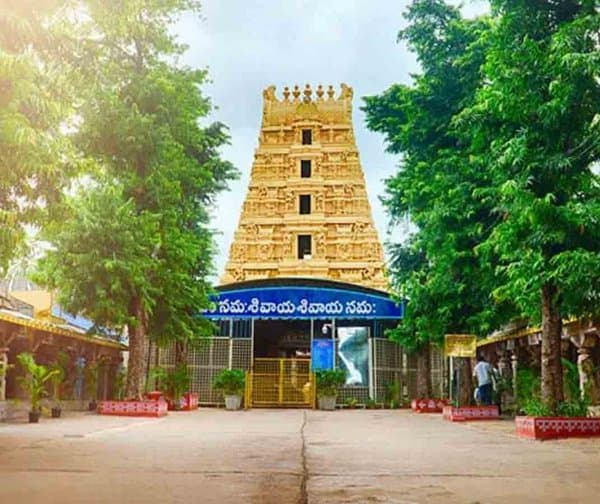 కోటి విలువైన మల్లన్న రహస్య కానుకలు - Udayam Digital