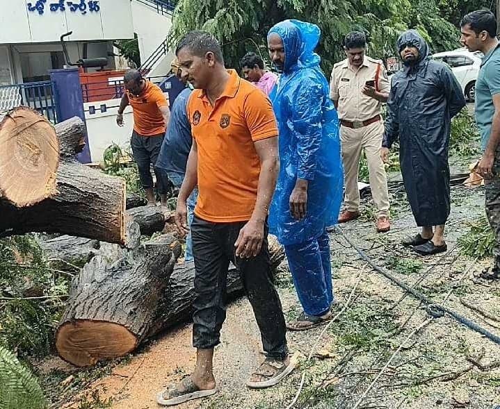 మురళీనగర్లో తుఫాను సహాయక చర్యలు ముమ్మరం - Udayam