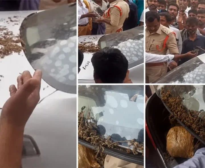 పోలీసుల కారులో గంజాయి కలకలం - Udayam