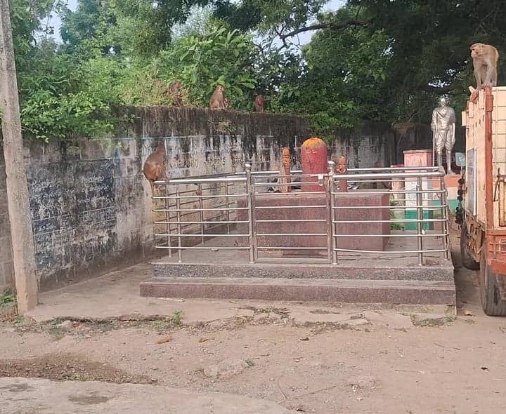 మోతే మండలంలో కోతుల బెడద - Udayam