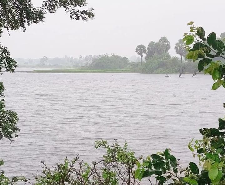 మద్దిరాలలో నిండుకుండలా చెరువులు - Udayam