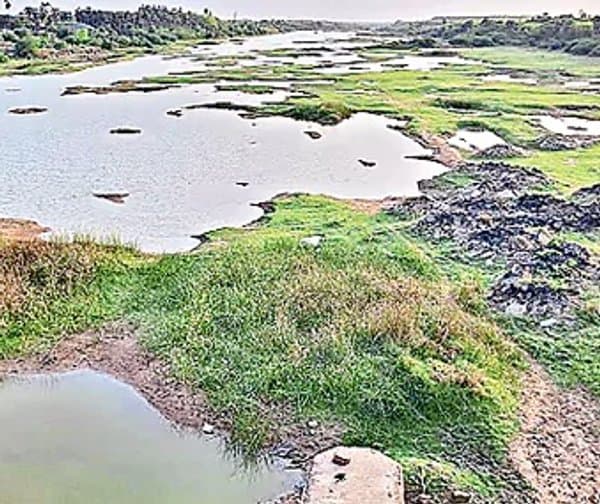 ఆ వాగుల నీరు సముద్రం పాలేనా?