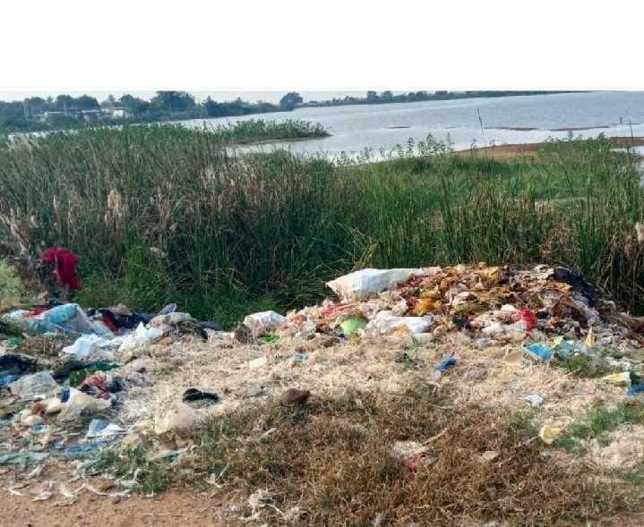 కల్లూరులో కోళ్ల వ్యర్థాలతో ప్రజలకు ఇక్కట్లు - Udayam