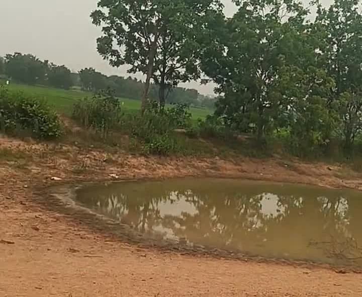 ఎర్రకుంటలో నిమజ్జనానికి నీరు లేక ఆందోళన - Udayam