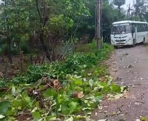 ఎలమంచిలిలో చెట్టు కూలి 10 గ్రామాల్లో విద్యుత్ బంద్ - Udayam