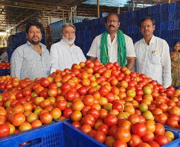 మదనపల్లె మార్కెట్లో టమాటా రేట్లు - Udayam