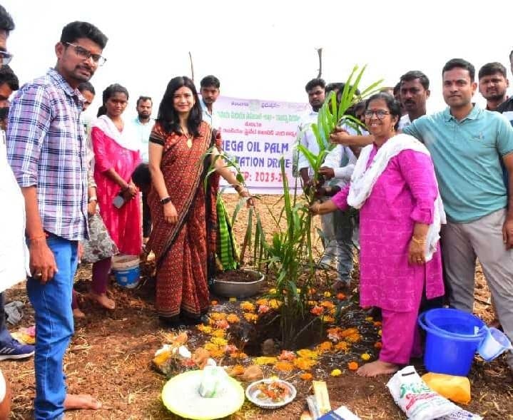 సిరిసిల్ల కలెక్టర్కు ఏడాది పూర్తి - Udayam