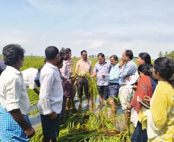 పెదపూడిలో తుఫాన్ దెబ్బతిన్న పంటల పరిశీలన - Udayam