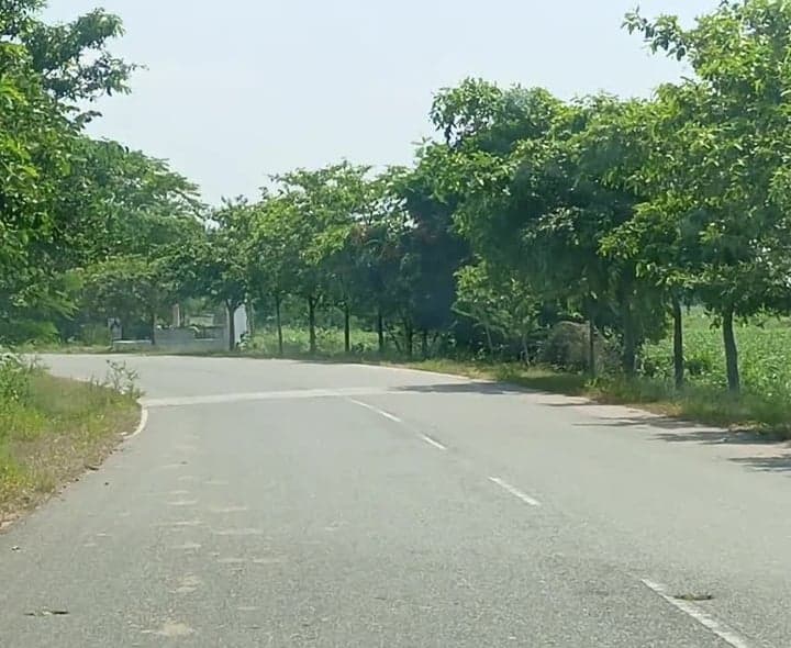 అప్పిరెడ్డిపల్లి వద్ద ప్రమాదకర మూలమలుపు - Udayam