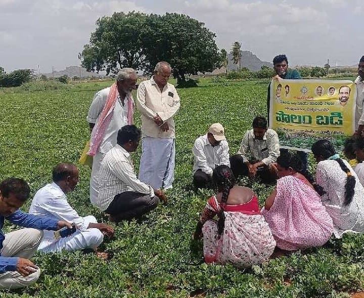 రామాపురంలో పొలం పిలుస్తోంది-పొలం బడి కార్యక్రమం