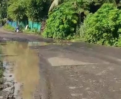 గుమ్ములూరు-పాలకొల్లు రహదారిపై భారీ గుంత