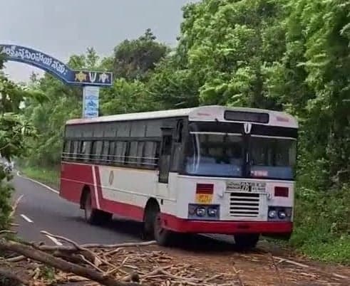 సింహాచలంలో ఘాట్ రోడ్డుపై భారీ వృక్షం - Udayam