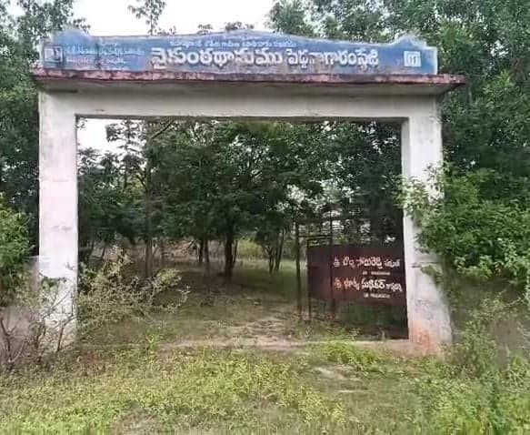 శిథిలావస్థలో పెద్దనాగారం వైకుంఠధామం - Udayam