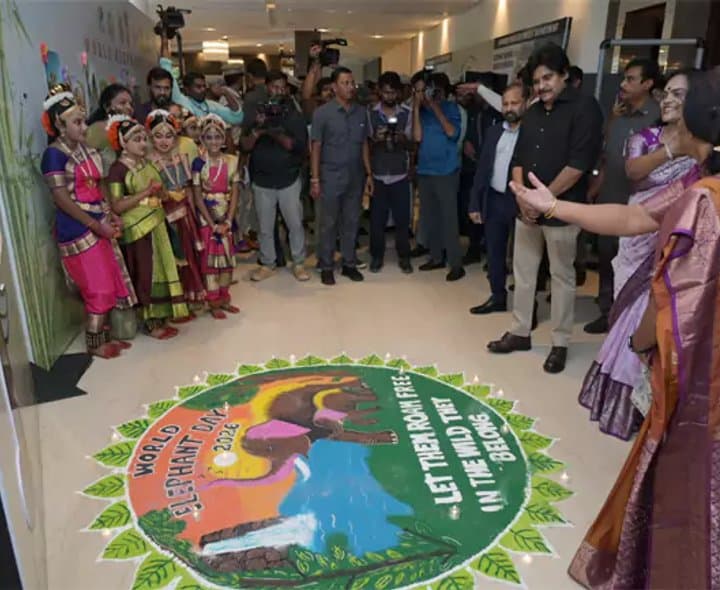 ఏనుగుల సంరక్షణ ప్రజా ఉద్యమంగా మారాలి: పవన్ - gallery image 2