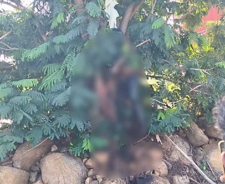 కూడేరులో చెట్టుకు ఉరేసుకొని మృతి - Udayam