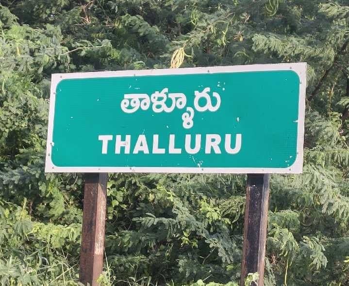 నేడు తాళ్లూరు మండలంలో SMC ఎన్నికలు - Udayam