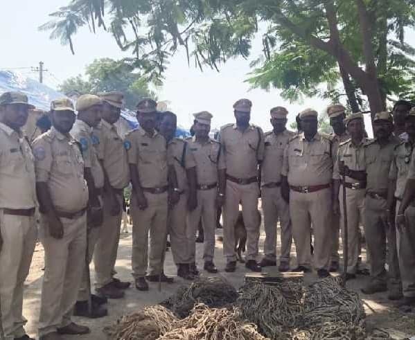 వన్యప్రాణుల వేటపై కఠిన చర్యలు - Udayam