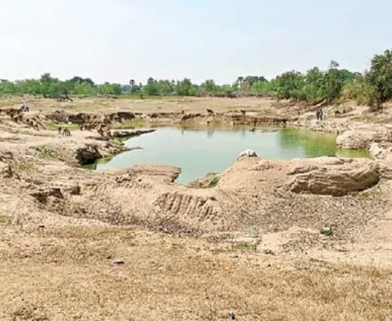 చేప పిల్లల పంపిణీపై రూ.133 కోట్ల వివాదం - Udayam