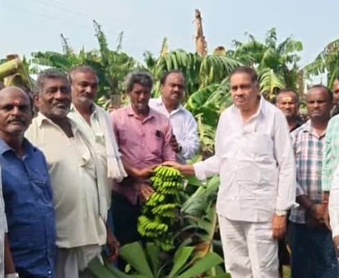 తుఫాన్తో పంట నష్టం.. రైతుల ఆవేదన - Udayam