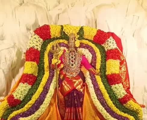 పార్వతీ దేవి అలంకారంలో భద్రకాళి - Udayam