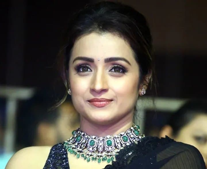 త్రిష వ్యాఖ్యలు: ఎవరిని ఉద్దేశించి చేసినవి? - Udayam