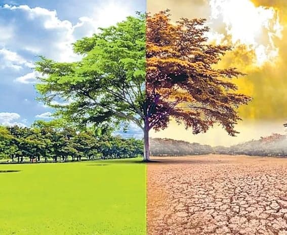 గ్లోబల్ వార్మింగ్ ప్రభావం - Udayam