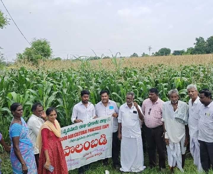 తాళ్లూరులో సాగు పద్ధతులపై అవగాహన - Udayam
