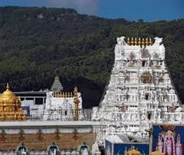 తిరుమలలో పెరిగిన భక్తుల రద్దీ - Udayam Digital