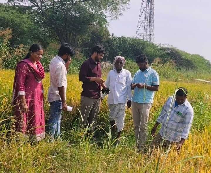 యాసంగిలో ప్రత్యామ్నాయ పంటలు వేయాలి - Udayam