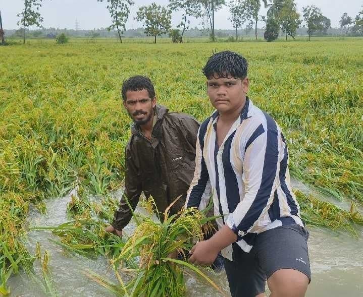 తుఫాన్ దెబ్బకు పంట నష్టం - Udayam