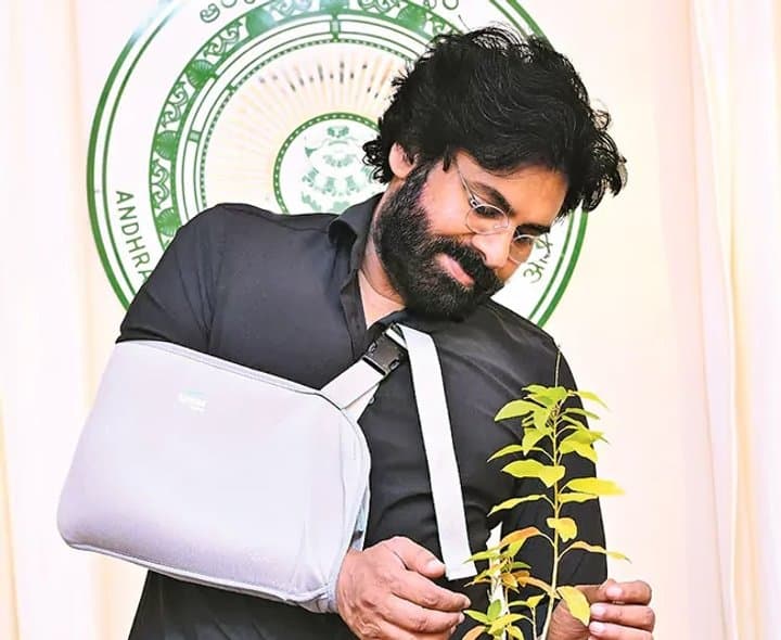 గుచ్చిమిలో ఏనుగుల శిబిరం - Udayam Digital