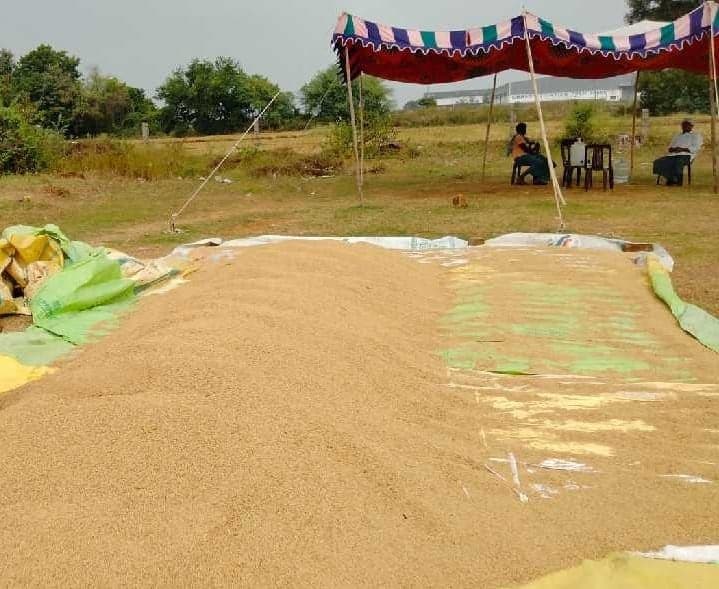 కోతలు మొదలైనా.. కానరాని కొనుగోలు కేంద్రాలు - Udayam
