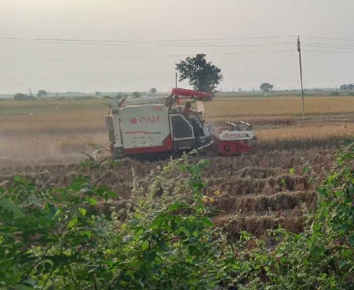 కల్లూరు మండలంలో ఖరీఫ్ వరి కోతలు షురూ - Udayam