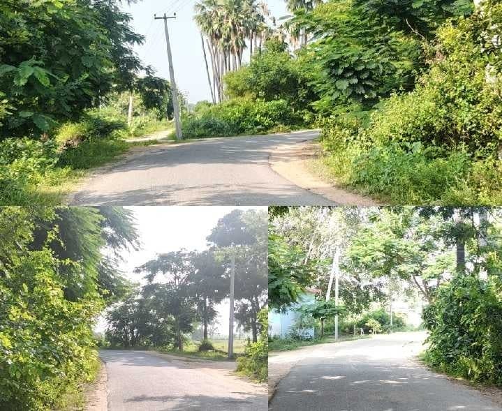 చీటకోడూరు వద్ద ప్రమాదకర మూలమలుపులు - Udayam