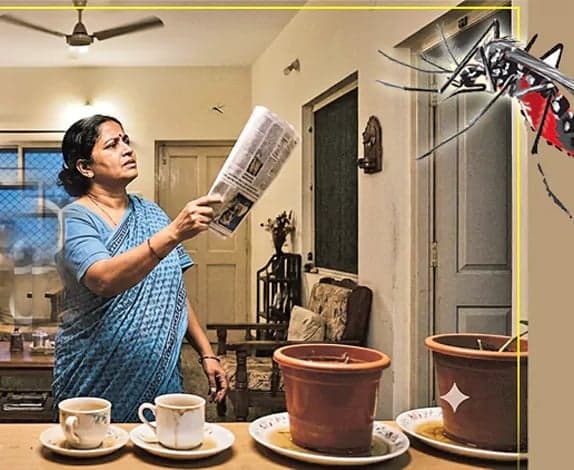 దోమల బెడదకు చెక్ పెట్టండి - Udayam