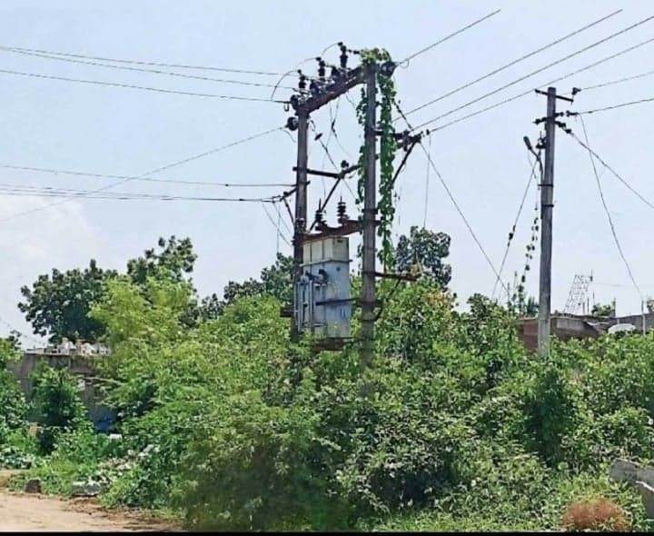 విద్యుత్ నియంత్రిక చుట్టూ పిచ్చిమొక్కలు - Udayam