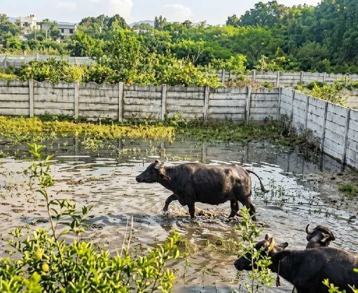 హాస్టళ్ల మురుగు నీటితో ఇబ్బందులు - Udayam