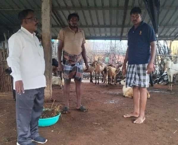 పశువుల సంరక్షణపై రైతులకు సూచనలు - Udayam